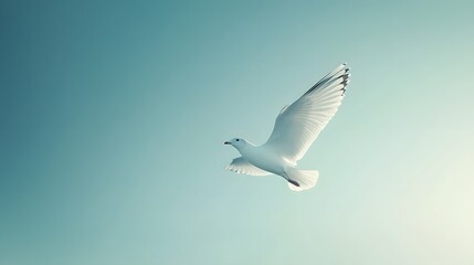 Obraz premium Seagull soars through bright blue sky with wings spread wide, creating minimalist composition with clean bright background and natural lighting in peaceful atmosphere.
