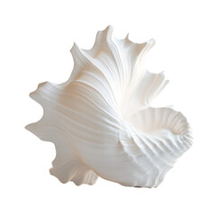 Naklejka premium a white shell shaped object on a white surface