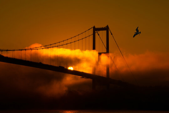 View of July 15 Martyrs Bridge (Bosphorus Bridge) with seagull and sunrise in fog clouds. A foggy view from the July 15 Martyrs Bridge in Ortakoy.