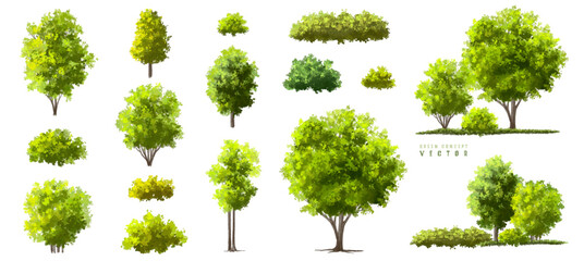  Vector watercolor green  tree or forest side view isolated on white background for landscape and architecture drawing,elements for environment or and garden,Shrub for section
