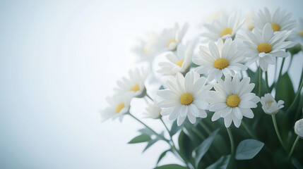 Marguerite
