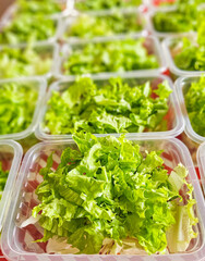 Lunchboxes with salad, assembly of lunchboxes with salad as an option for a healthier diet, natural light, selective focus.