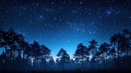 Starry Night Sky Over Silhouetted Pine Forest