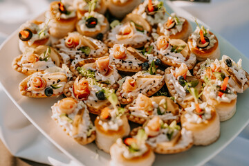 Close-up of gourmet appetizers arranged on a white platter, featuring fresh ingredients, delicate garnishes, and vibrant colors..