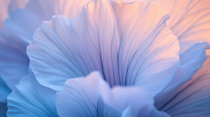 Close-up of delicate blue flower petals.