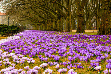 przyroda 001 © Seba73r