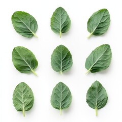 Naklejka premium Fresh mint leaves arranged on white background for food recipe or health blog