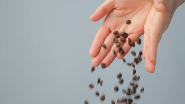 Coffee Beans Falling from Hands. Slow Motion Close-Up.