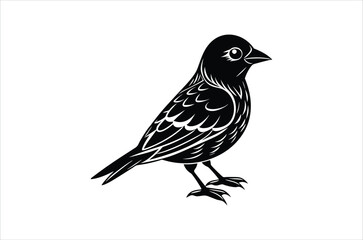Obraz premium bird vector, icon vector illustration, bird silhouette of a bird isolated on a white background, eps, png, svg, vector,