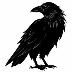 Fototapeta premium Majestic Raven Silhouette: Dark Bird, Isolated on White Background, Perfect for Gothic, Mystery, or 