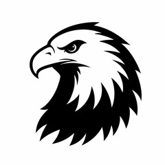 eagle head vector illustration