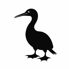 black-crowned crane isolated on white