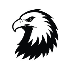 eagle head vector illustration