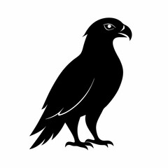 eagle silhouette isolated on white