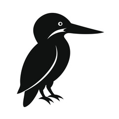 vector illustration of a bird