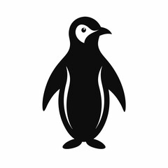 penguin vector illustration