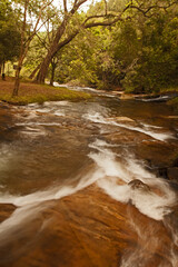 Politzi River Magoebaskloof South Africa 16387