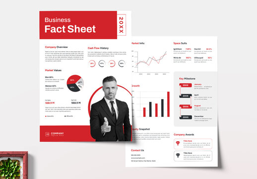 Modern Company Fact Sheet Layout