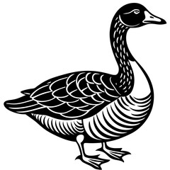 A bar-headed  goose walks vector art illustration