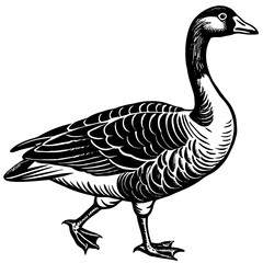 A bar-headed  goose walks vector art illustration