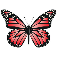 Vector Butterfly with wide wings and charming red color. Colorful Moth with a colorful pattern. Abstract wings. Exotic decor from moths. Elegant flying insect.