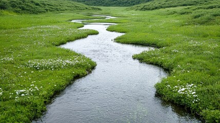 Serpentine river flows through lush green meadow