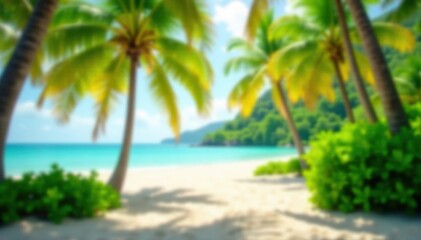 Fototapeta premium Soft focus green park, beach bokeh, tropical coconut trees, bright, summer, coast