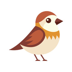 Nice sparrow bird vector illustration