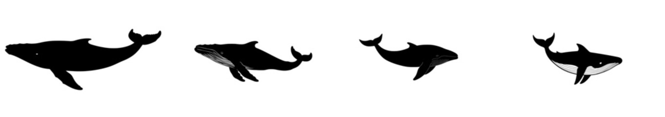 A modern, isolated black silhouette of a whale on a white background