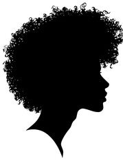 An African American man with dreadlocks hairstyle, afro hair, and beard. The profile silhouette displays his African heritage, viewed from the side with afro
