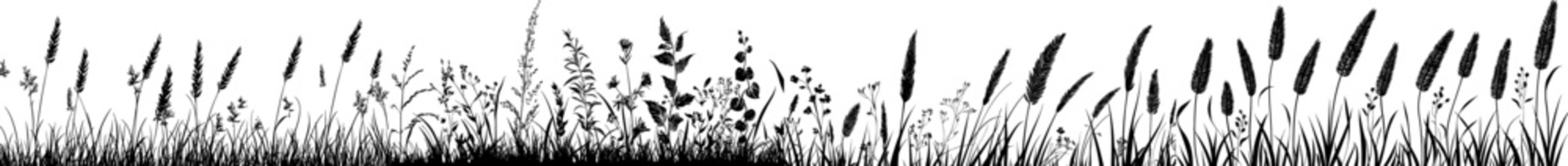 Abstract background featuring black silhouettes of meadow wild herbs and flowers