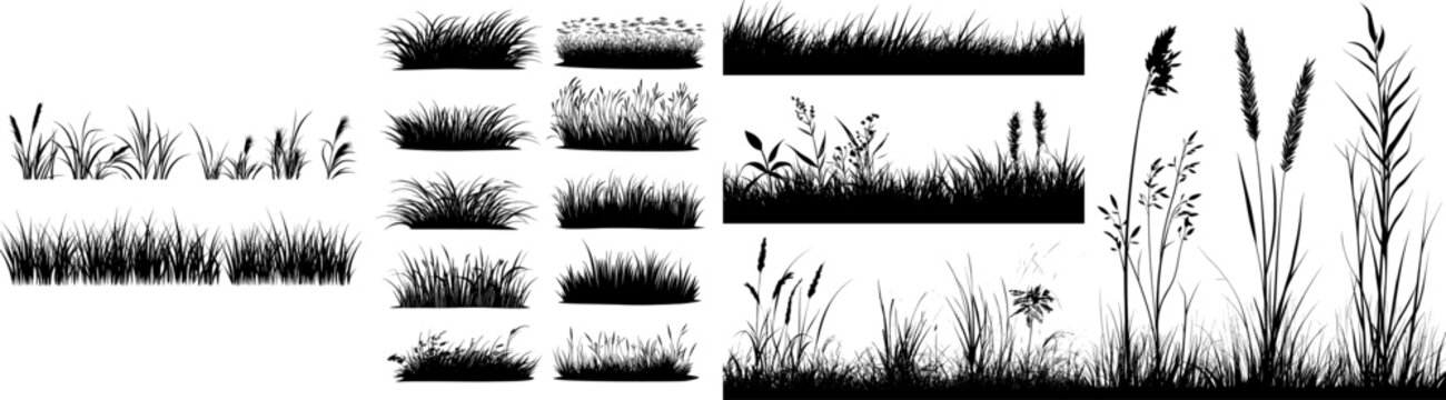 A realistic black and white modern bundle of silhouettes featuring the ground with grass, flowers, spikelets, and trees. Perfect hand-drawn isolated illustrations for work, design, banners, and