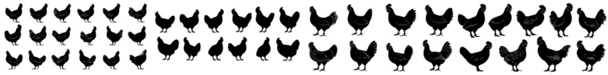 Chicken silhouettes against a white backdropSilhouettes of different chickens on a white backgroundVarious chicken outlines in a white spaceChickens' silhouettes set against a white canvasA
