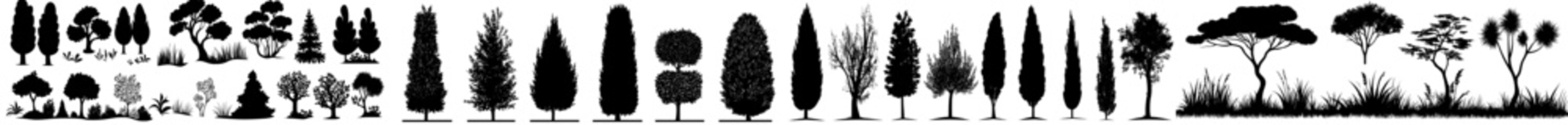 A set comprising bush and exposed bush, along with decorative garden plants, and their silhouettes