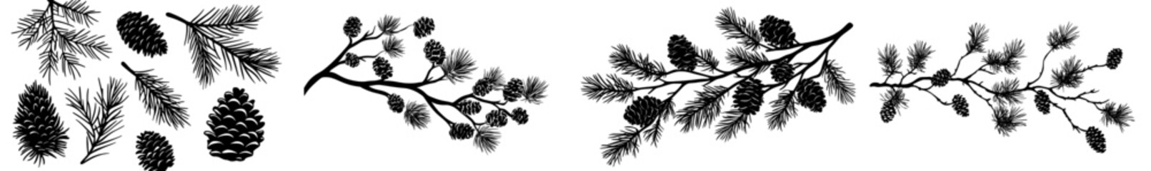 A collection of shadowy cone shapes, pine branches, and cedar limbs