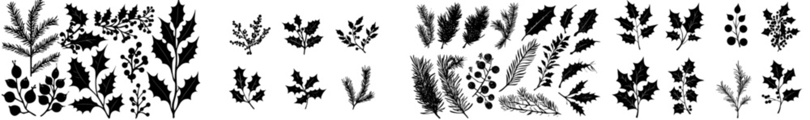 Modern Christmas plants, holly berries, and a Christmas tree adorned with mistletoe, pines, and berries, featuring branches with leaves. These elements serve as holiday decorations and winter © Andrei