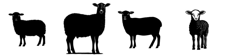 Black sheep icon on a white background. Sheep silhouette