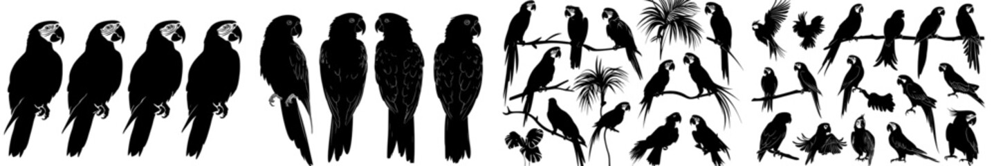 Parrot silhouettes from the Amazon jungle isolated on a white backgroundIsolated silhouettes of modern parrots from the Amazon jungle on a white backdropModern parrot shapes from the Amazon