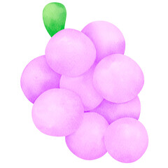 Grape Cute Watercolor