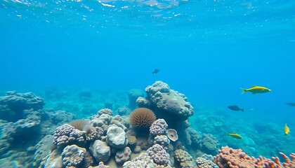 Obraz premium Underwater scene with fish and corals