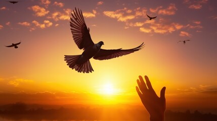 Obraz premium Silhouette of Outstretched Hand Releasing a Pigeon at Sunset with Vibrant Sky and Flying Birds in the Background