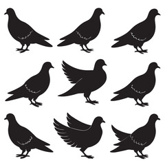 Obraz premium Pigeon silhouettes set, pigeon pack of vector silhouette design