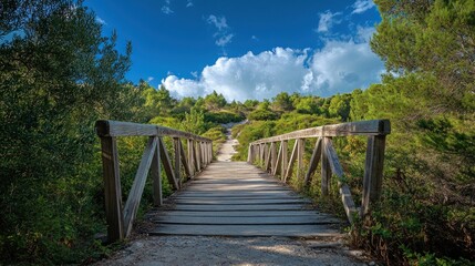 Obraz premium Wooden bridge path nature trail sunny landscape