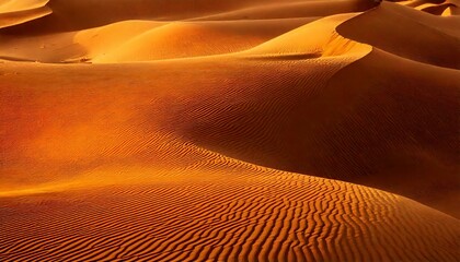 sand dunes in the desert