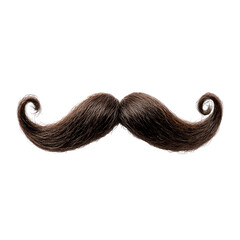 Black color Mustache on Transparent background