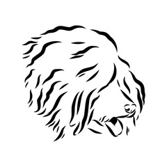 Minimalist puli dog logo design. Modern line art, vector, graphic, icon, illustration