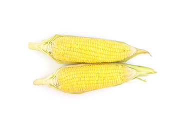 Single ear of corn isolated on white background as package design element.and make clipping path