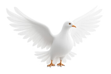 Obraz premium Majestic white dove spreading its wings gracefully against a pristine backdrop symbolizes peace hope and purity evoking freedom and serenity for Easter holiday themes