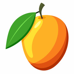 Illustration mango fruit
