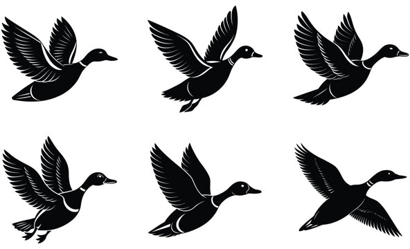 Flying Duck silhouette set, fly loon vector, ducks icons illustration